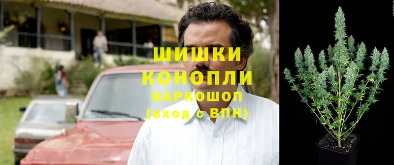 купить закладку  Ветлуга  Марихуана Bruce Banner 